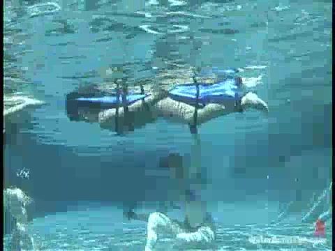 Water bondage drown