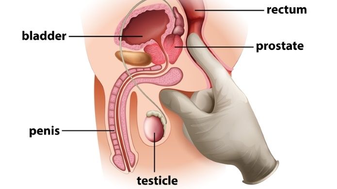 Brown S. reccomend penis prostate massage
