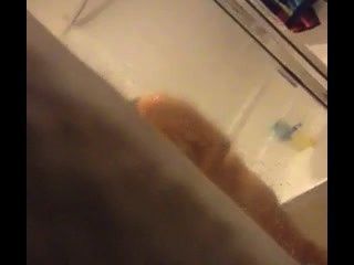 Bear reccomend spying brother shower