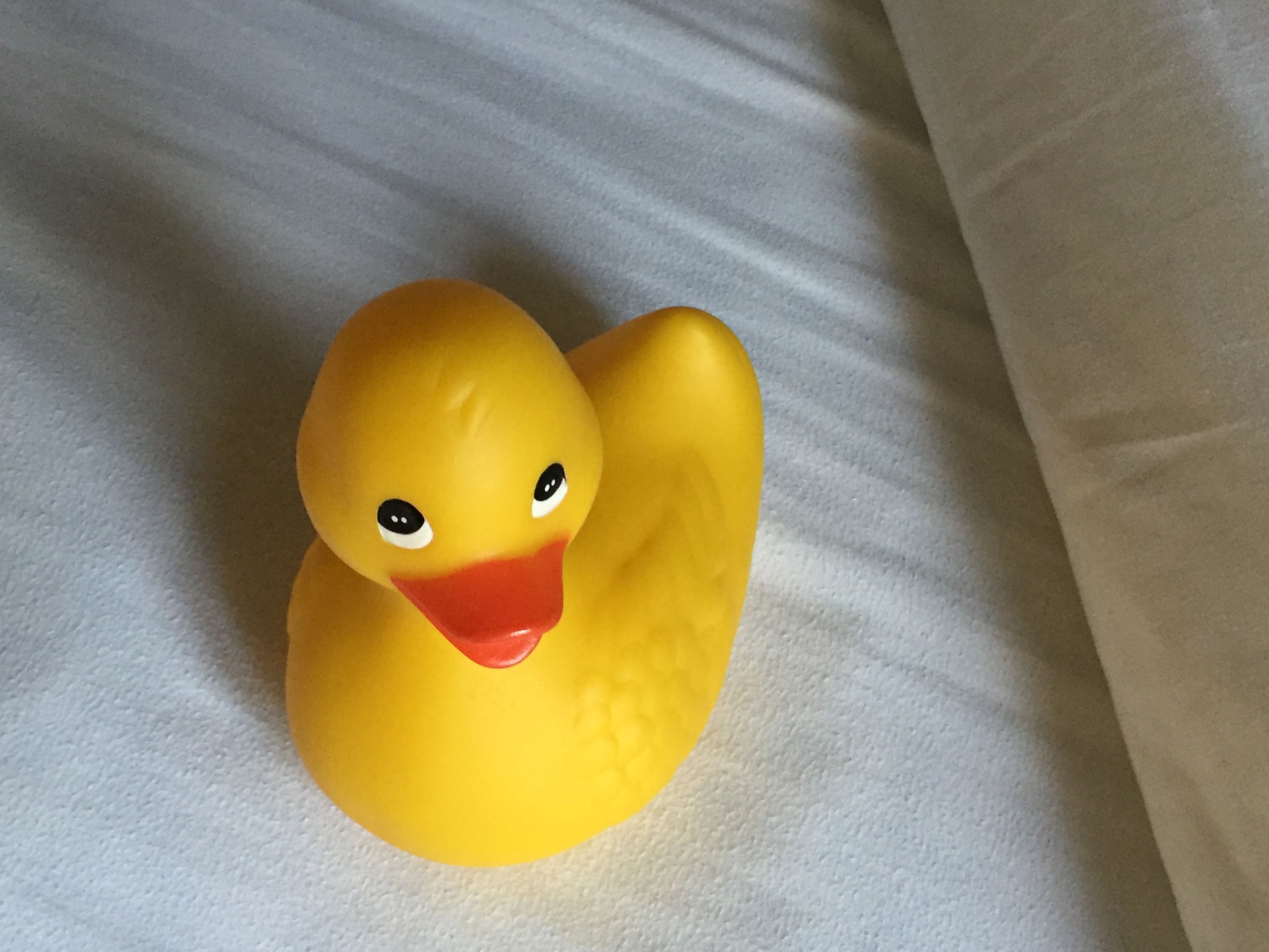 TD reccomend rubber ducky
