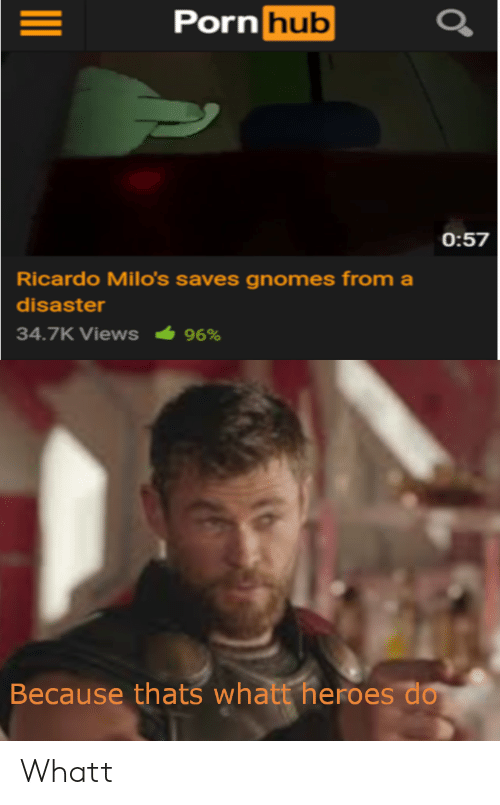 Number S. reccomend ricardo saves the gnomes