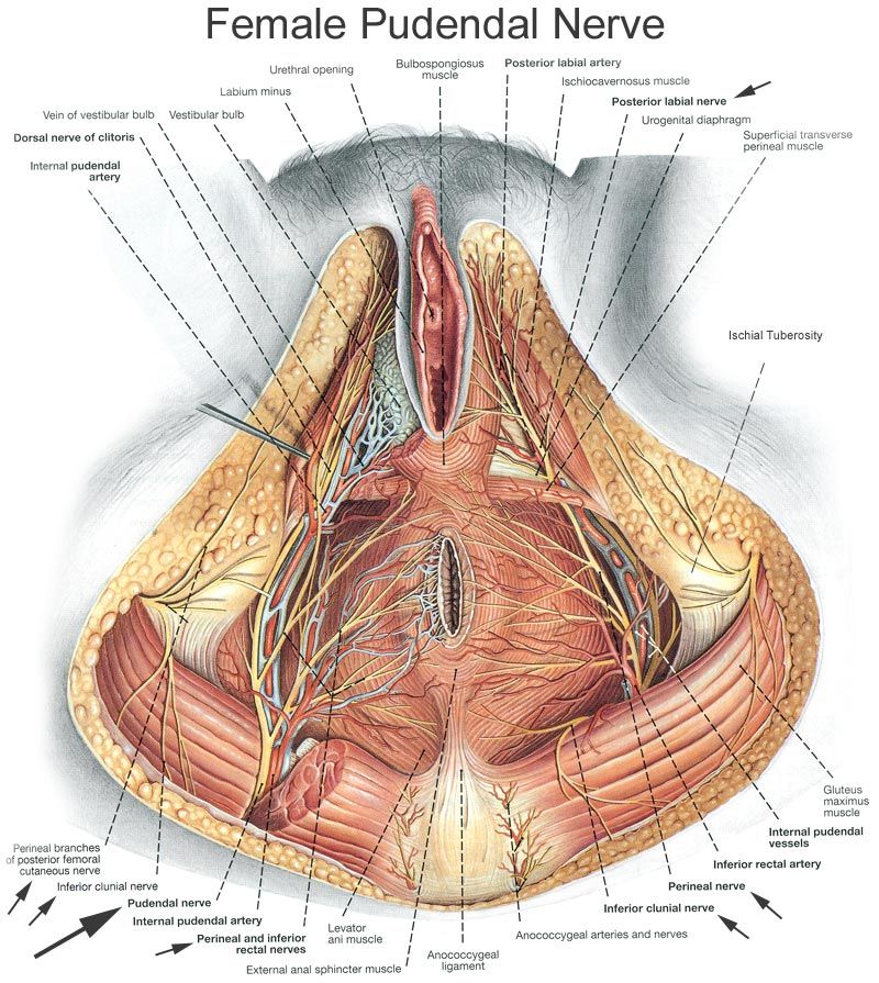 best of Rash clitoris Perianal painful vulva