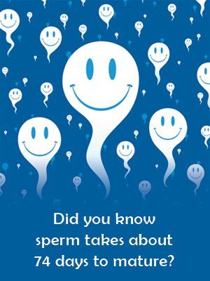 Shortbread reccomend Getting healthy sperm