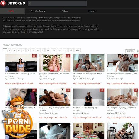 1 porn video hosting site