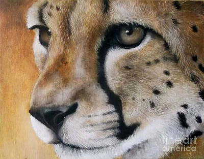 Mouse reccomend Close up pussy painted cheetah