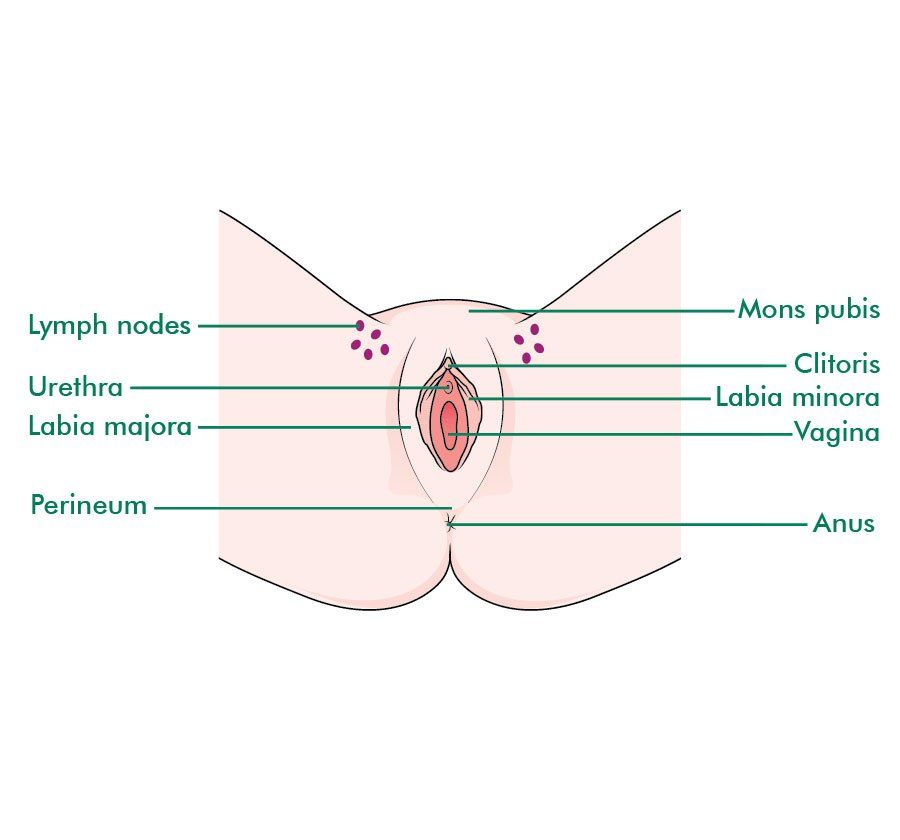 Perianal rash vulva clitoris painful