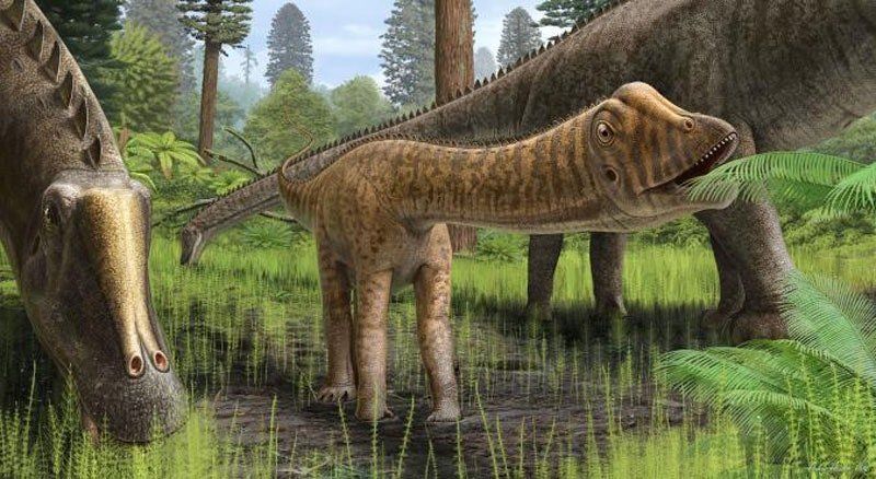 Dinosaur excavations for matures