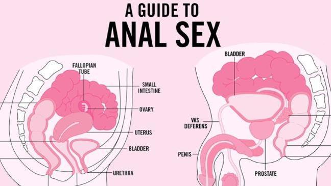best of Anal sex to Con