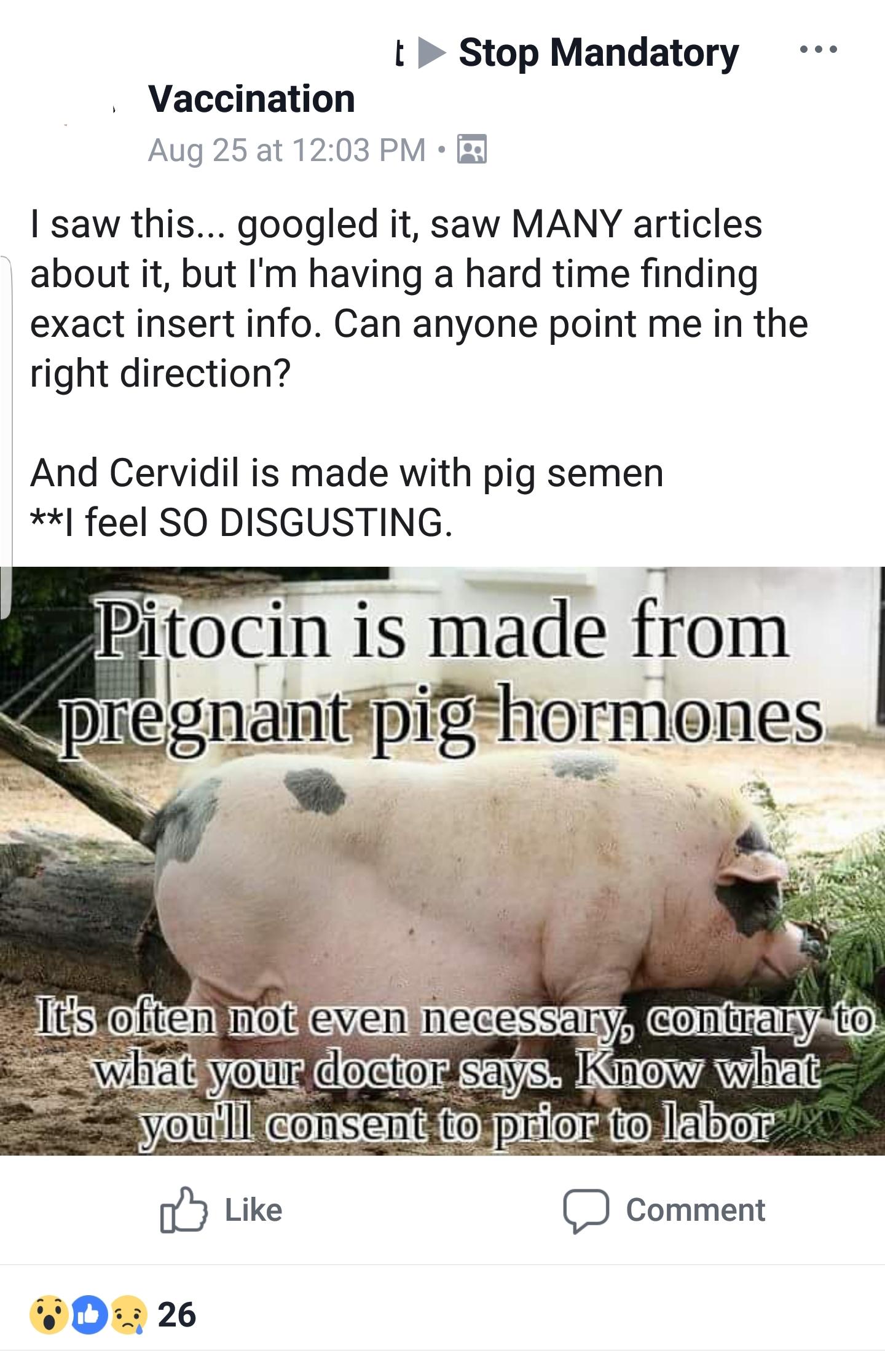 Daisy C. reccomend Cervidil pig sperm
