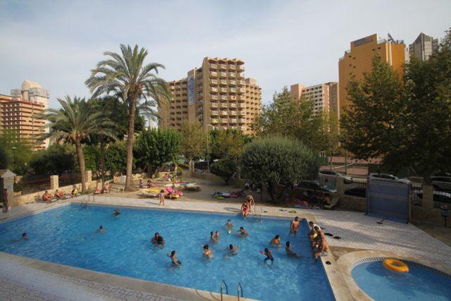 Budweiser reccomend Moby dick apartments benidorm