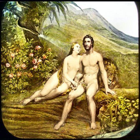 Bird reccomend Adam and eve naked