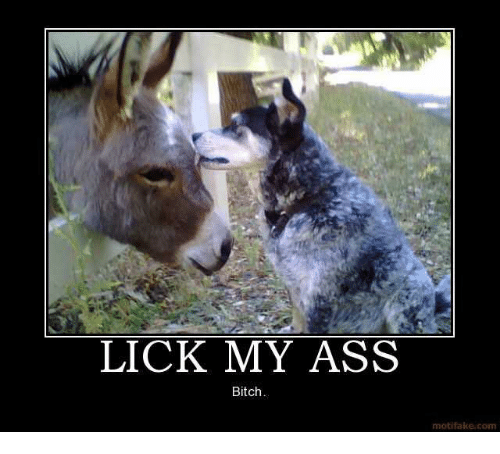 Ass bitch lick