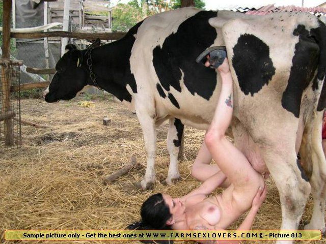 Preach recommend best of cows cows sex other Naked with having