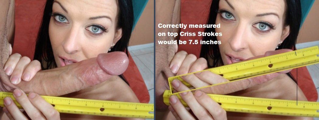 Pornstar penis measurement