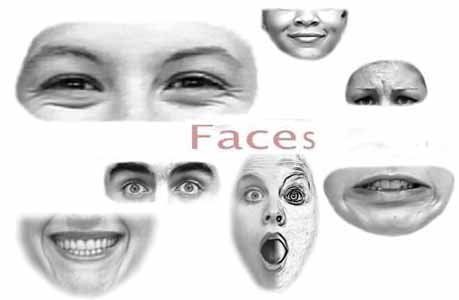 Scans facial features