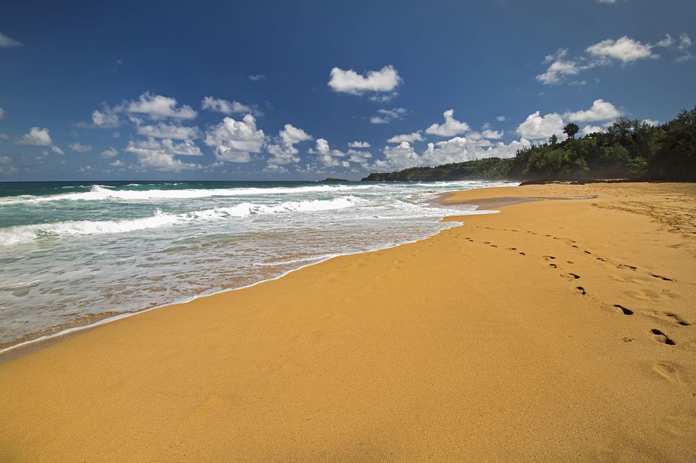 Oahu nudist beach
