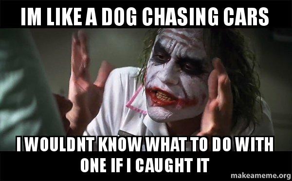 Dog chasing cars joker