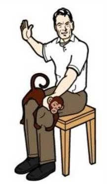 Origin spank the monkey