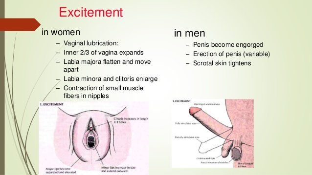 best of Vagina Erected penis in