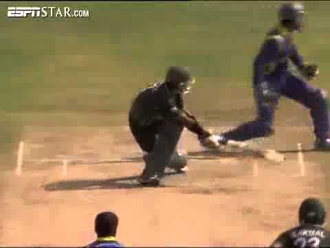 best of Funny video mp4 Cricket
