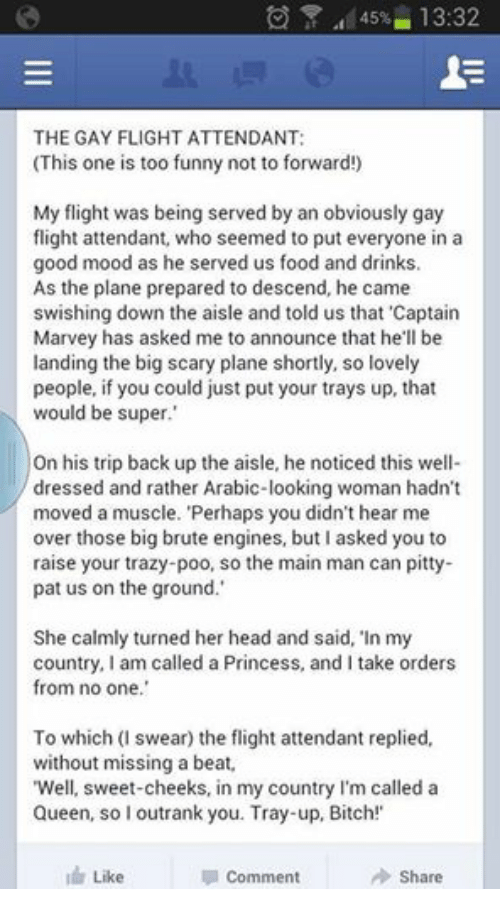 Gay flight attendant funny