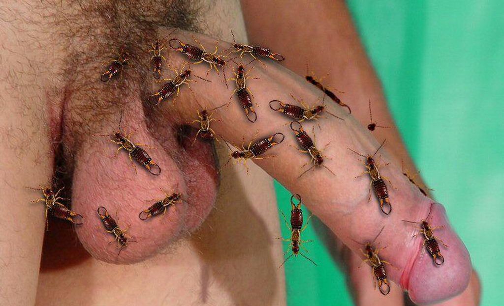 best of With insects fetist Sex