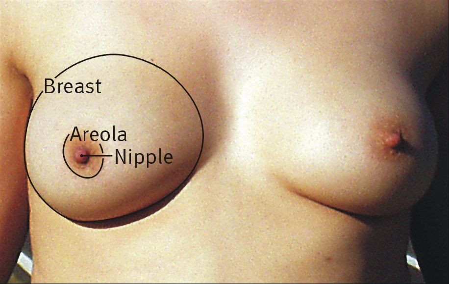 Lunar reccomend Nudes for tit shape study