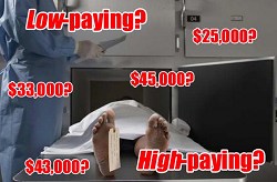 Evil E. reccomend Funeral director and embalmer salary in canada