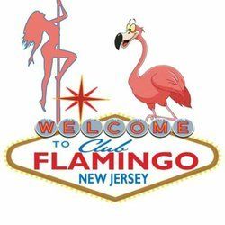 best of Flamingo strip Club