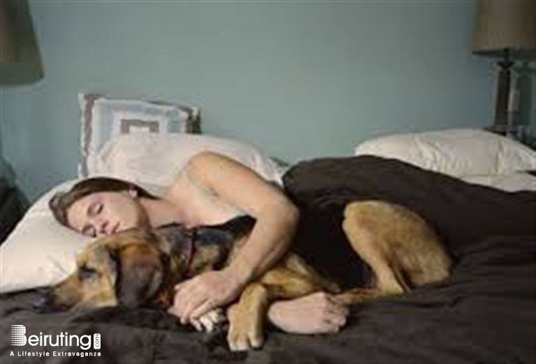 Women sleeping with the pets sex porn