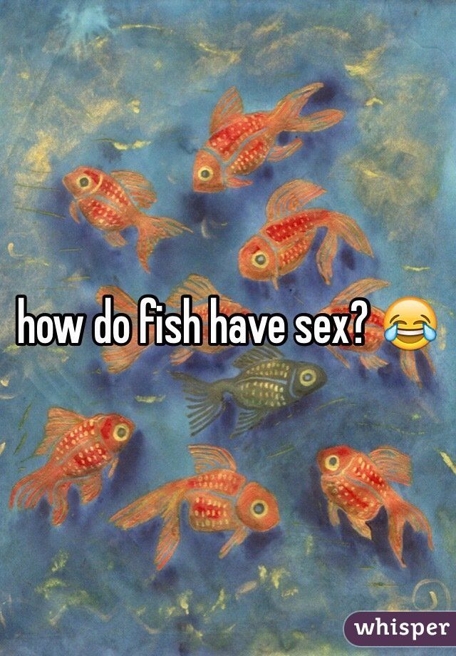 best of Have sex fish Do