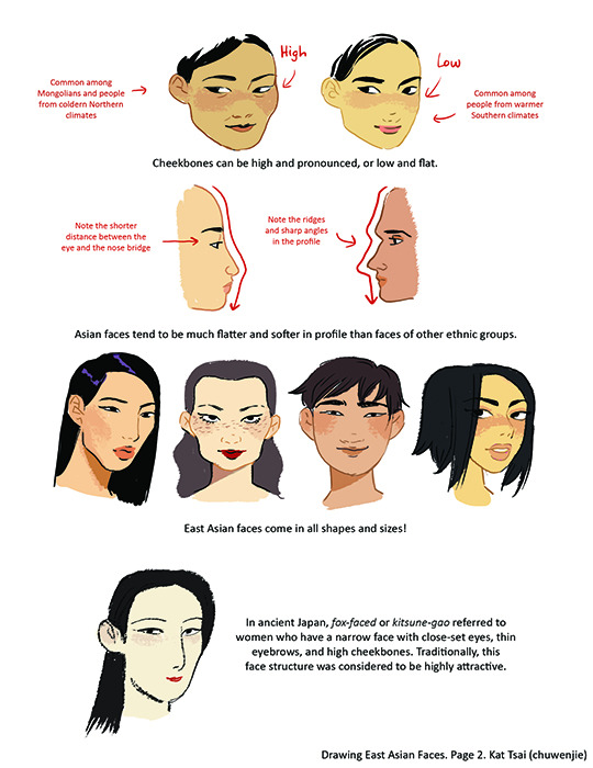 Typical asian facial characteristics