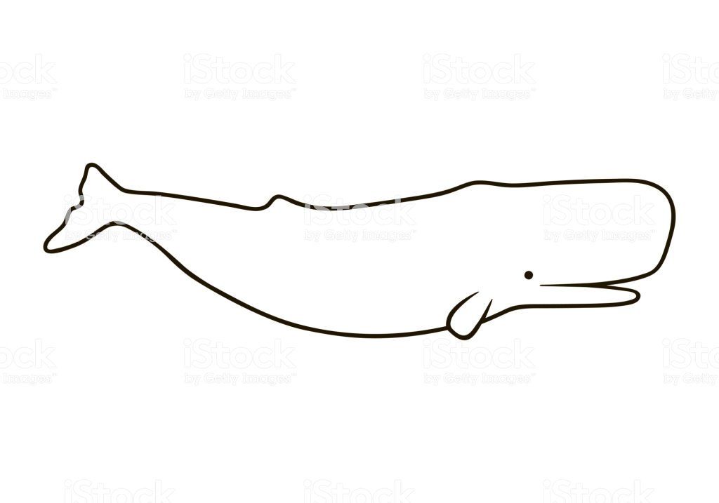 Nintendo reccomend Sketch a sperm whale