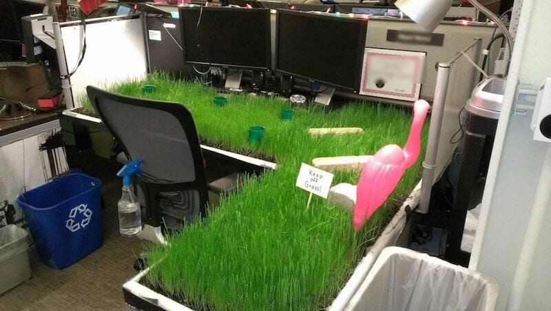 Practical jokes at workplace