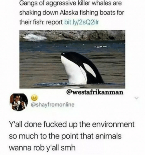 best of Is up Alaska fucked