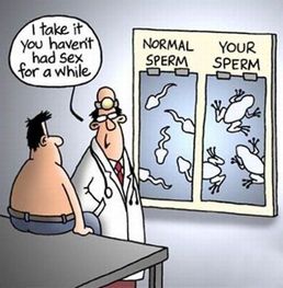 Flamingo reccomend How long sperm lives in vagina