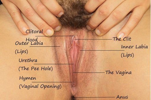 best of Coming out clitoris Pee