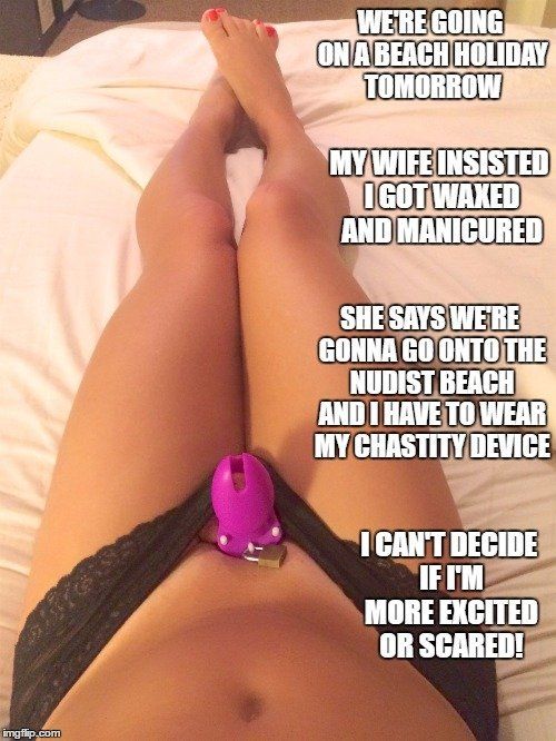 femdom chastity cuckold cocksucker