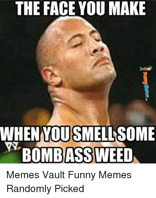 Cobalt reccomend Funny memes about weed
