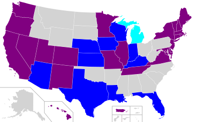 best of 31 states Constitutional gay amendment marriage