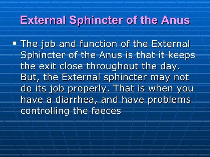 Princess reccomend Function of anus