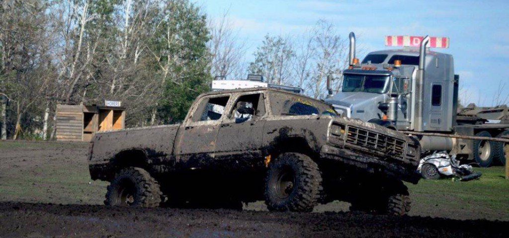 Dandelion reccomend Saskatchewan mud bogs 2017