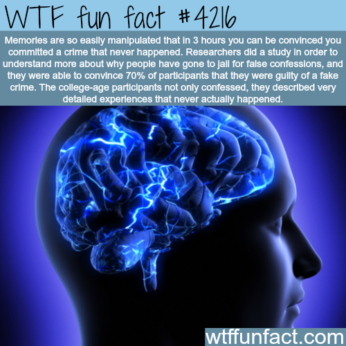 Double reccomend Neurologist fun facts
