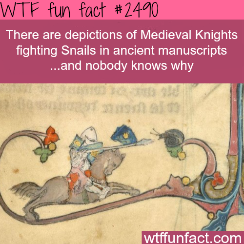 best of Medieval about Fun knights facts