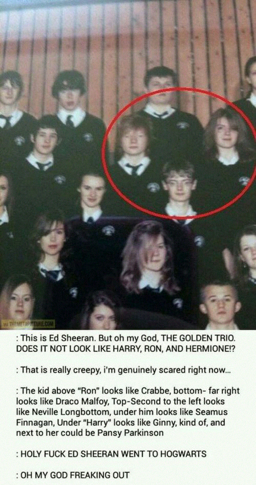 best of Fucking hagrid Hermione