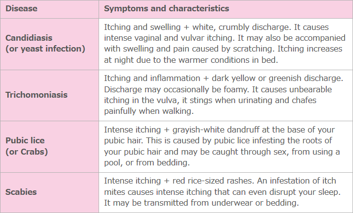 Firestruck reccomend Vulva itching causes and treatment