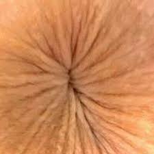Ass hole photo