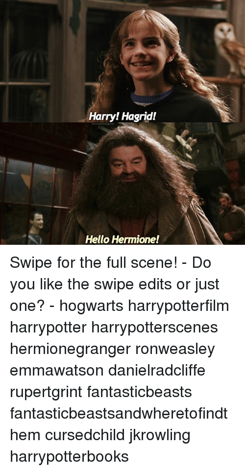 Hermione fucking hagrid