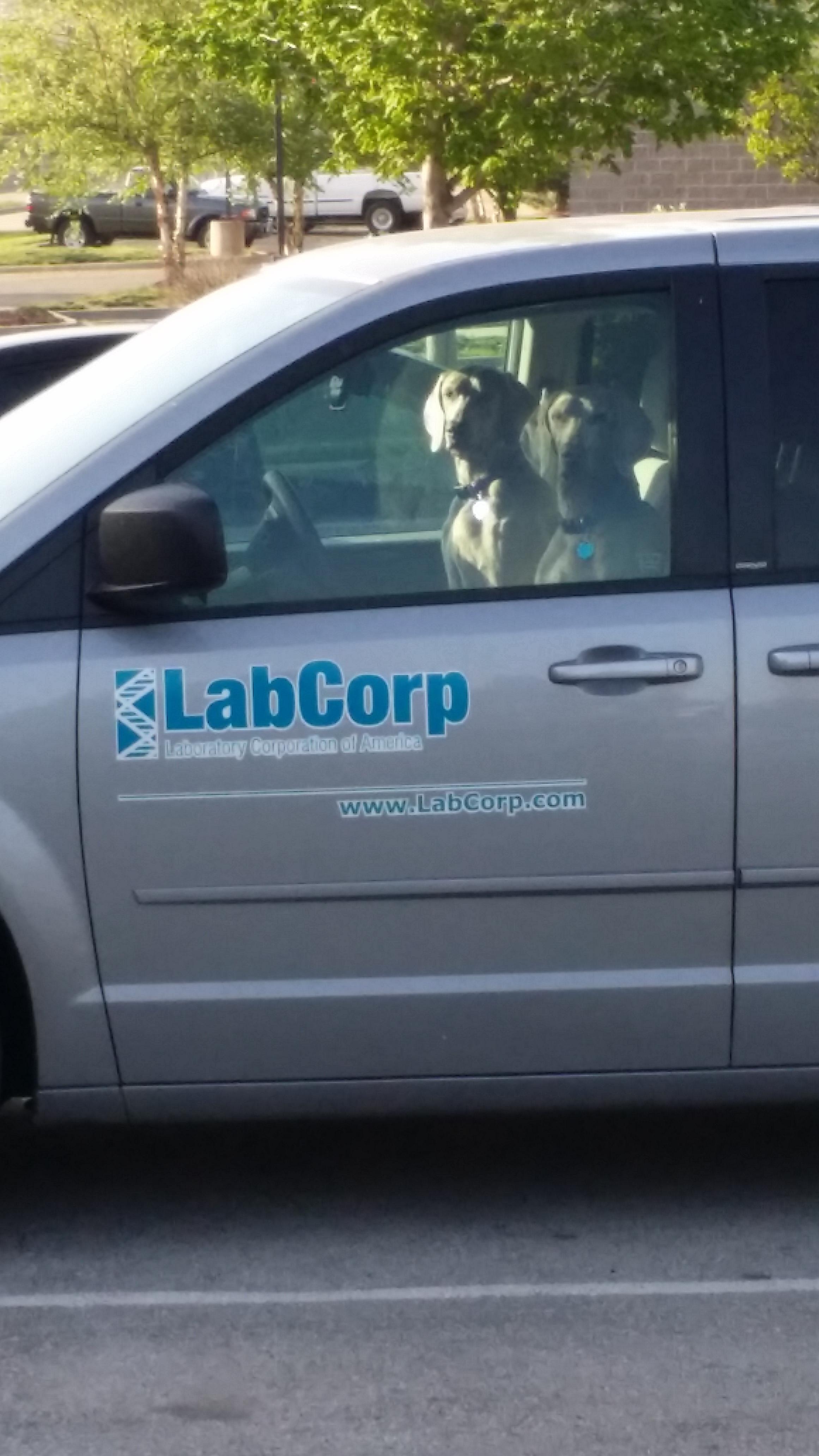 Jo J. reccomend Labcorp fucks employees