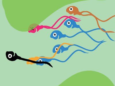 The great sperm race